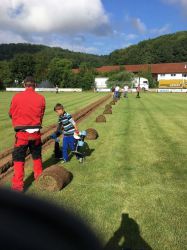 2017 - Einbau Bewässerungsanlage (3)